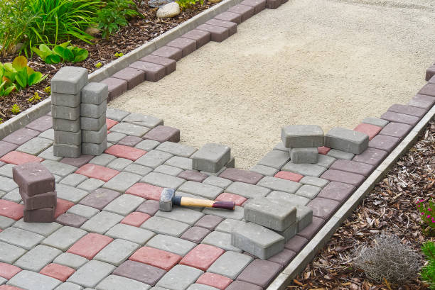 Best Driveway Paving Contractor  in Coldwater, OH